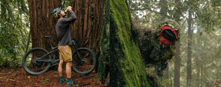 Pasha Takes a moment to take a sip of water as his creature peaks behind an old growth stump in Santa Cruz, California