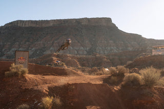 What Dwells in the Desert