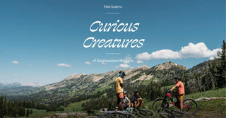 Field Guide to Curious Creatures of Southwestern Montana