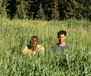 Chima and Pasha sit peeking through tall green grass in the middle of a Montana Summer