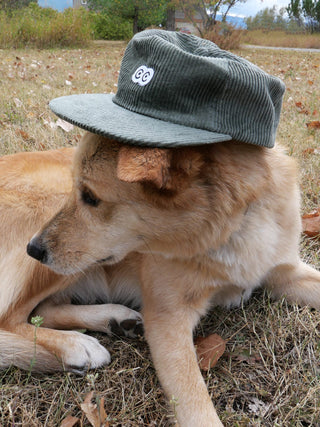 Creature Head Hat